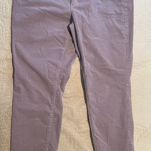 Ann Taylor loft Lavender cords size 14 curvy
